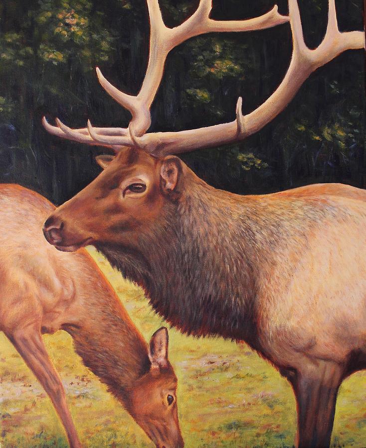Watchful Elk Painting by Sabina Bonifazi