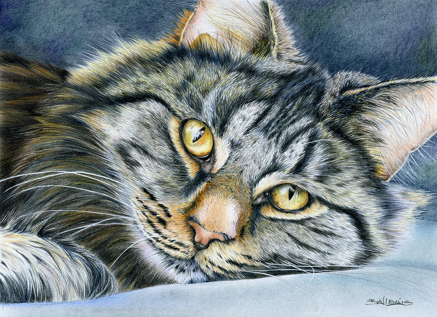 Cat Drawing - Watching by Bev Lewis