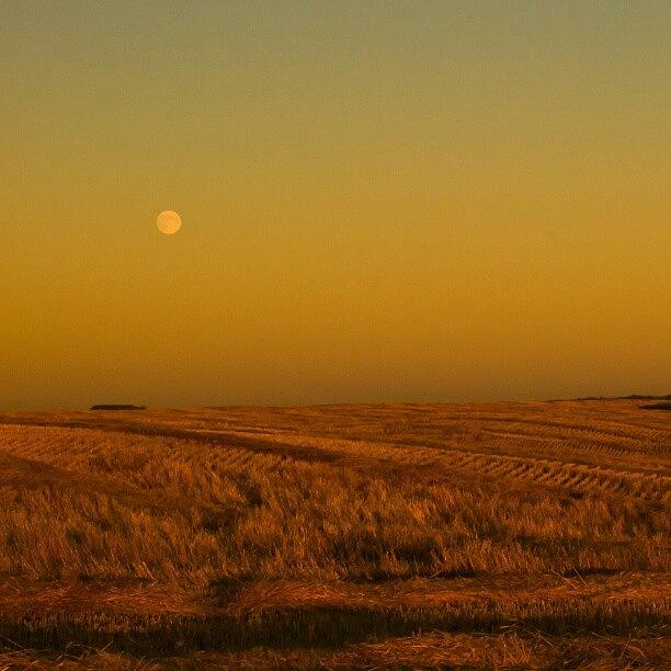 Farm Photograph - Watching Over The #harvest. #moon by Michael Squier