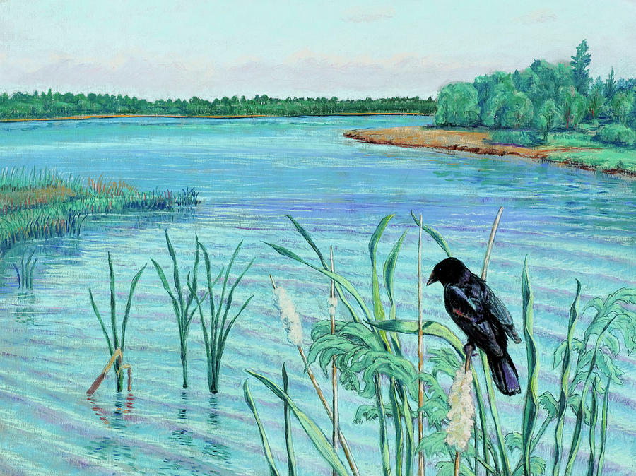 Bird Painting - Watching the Wash on the Cut Foot Sioux by David Bratzel