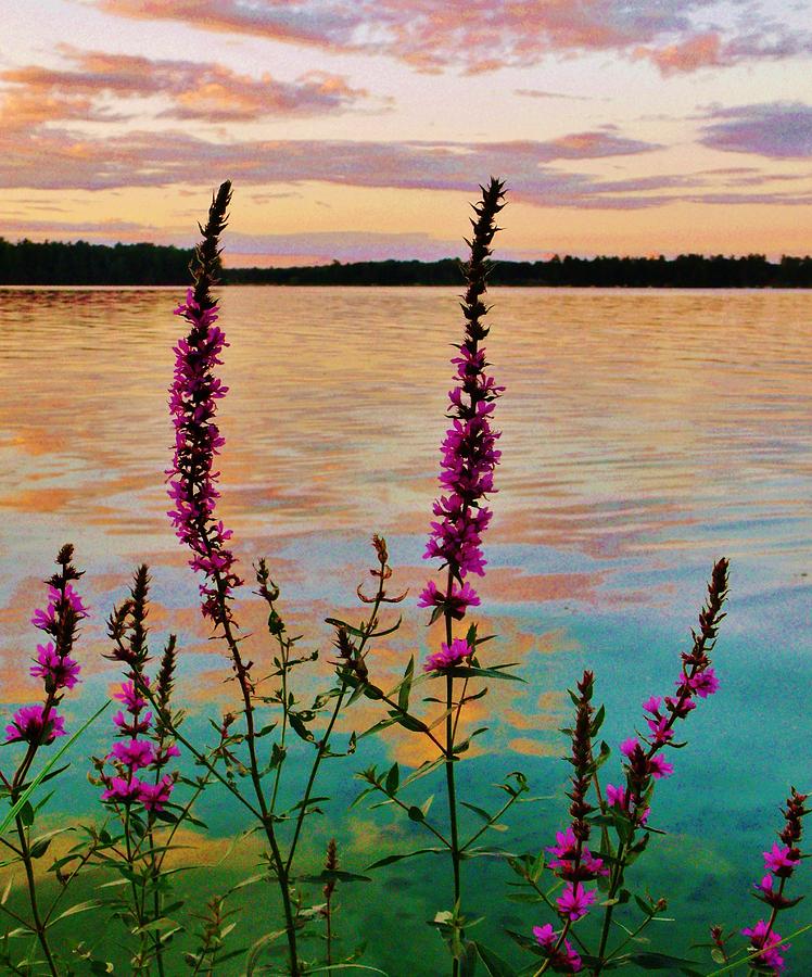 Sunset Photograph - Water Colors by Virginia Lei Jimenez