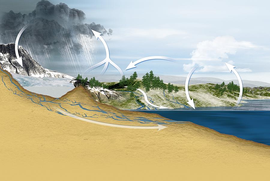 Water Cycle Diagram Photograph By Claus Lunau Fine Art America