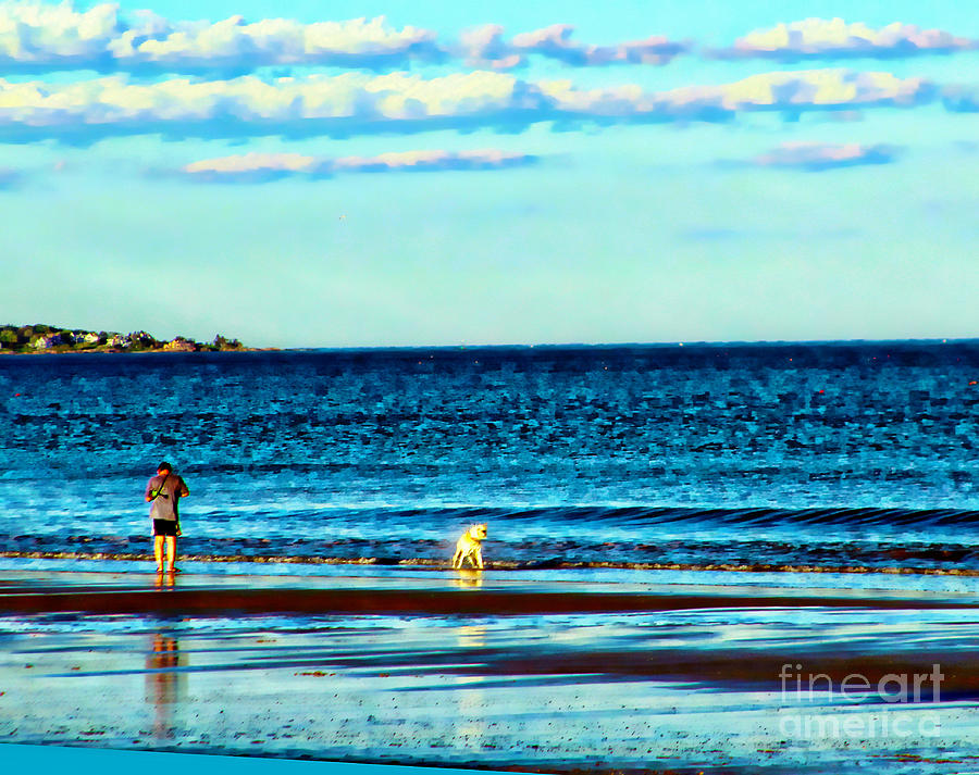 Water Dog from Dog Park Beach Series Photograph by Alene Sirott-Cope