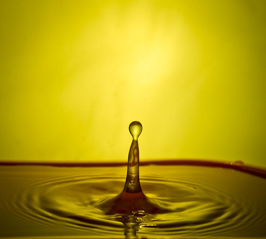 Water Drop Photograph by Meril Mathew - Fine Art America