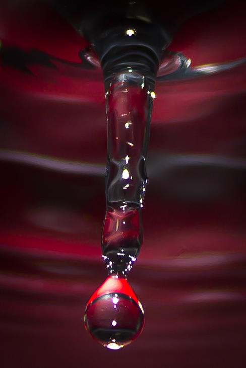Abstract Photograph - Water Drop No.2 by Nadya Ost