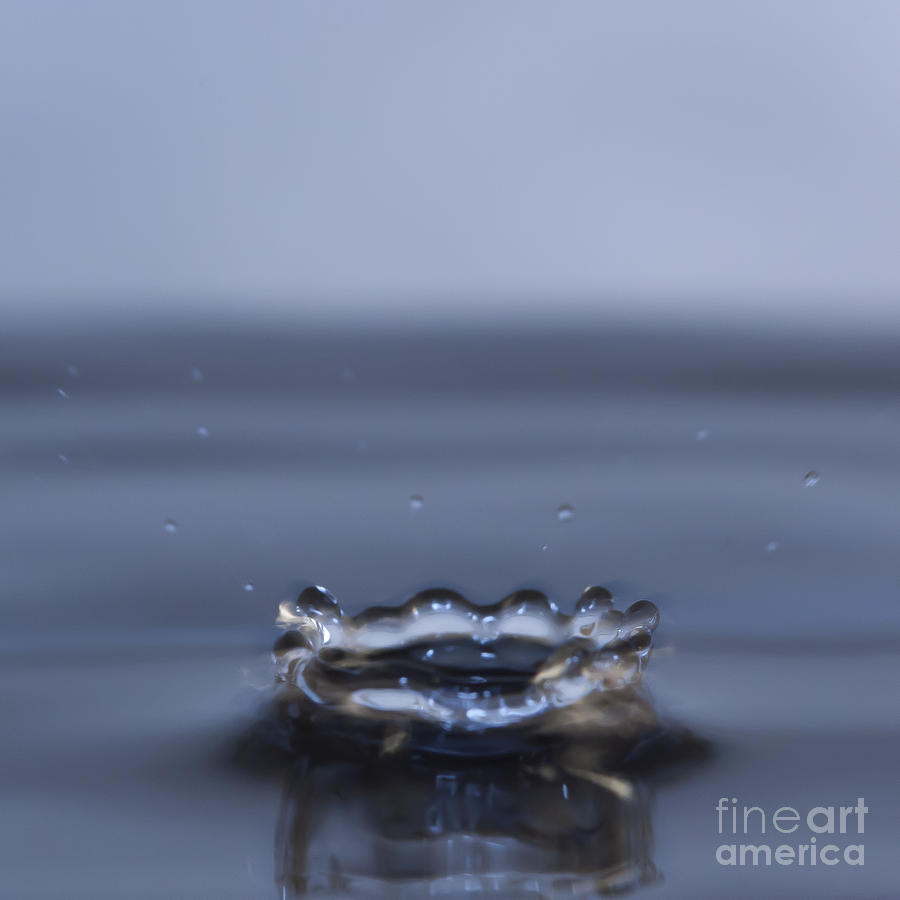 Water Drop Splash Photograph by Darcy Michaelchuk