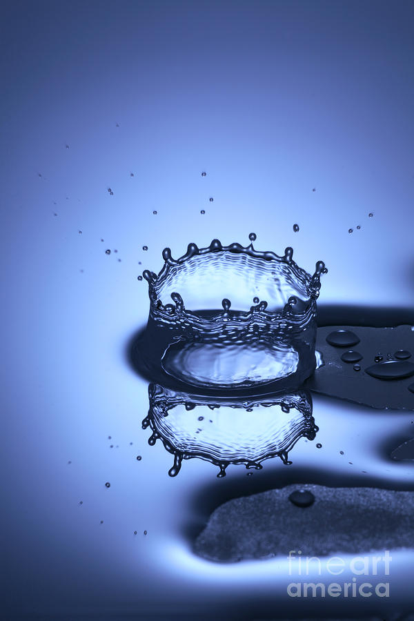 Water Drop Splashes Photograph by Ted Kinsman