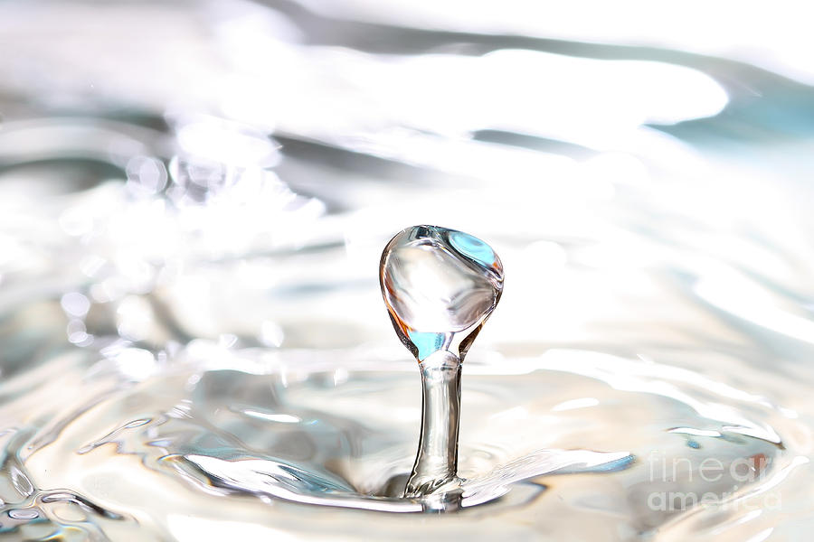 Water Drop Photograph by Teresa Zieba