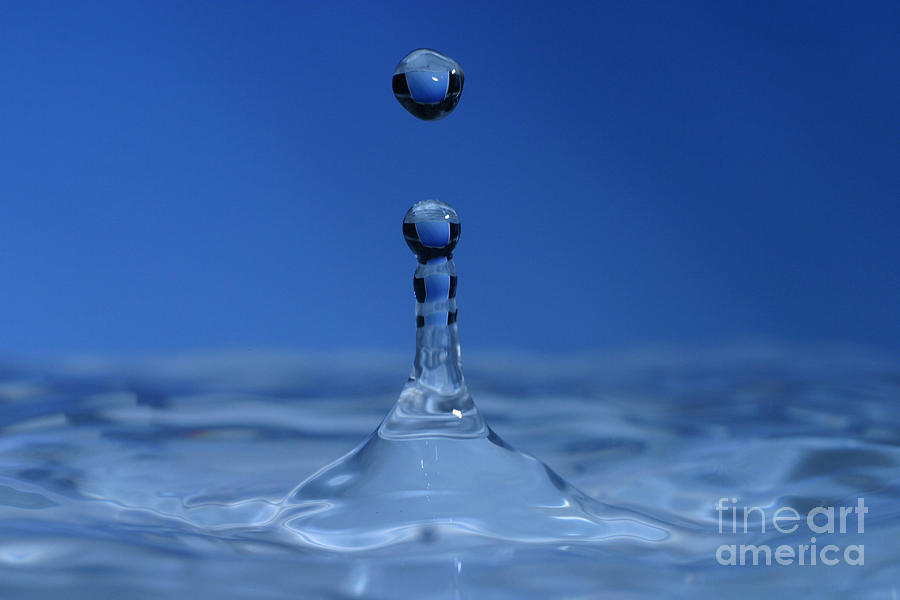 Water Droplet Photograph by Ted Kinsman