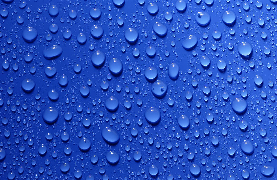 Water Droplets Photograph by Courtesy Of Crown Copyright Fera | Fine ...