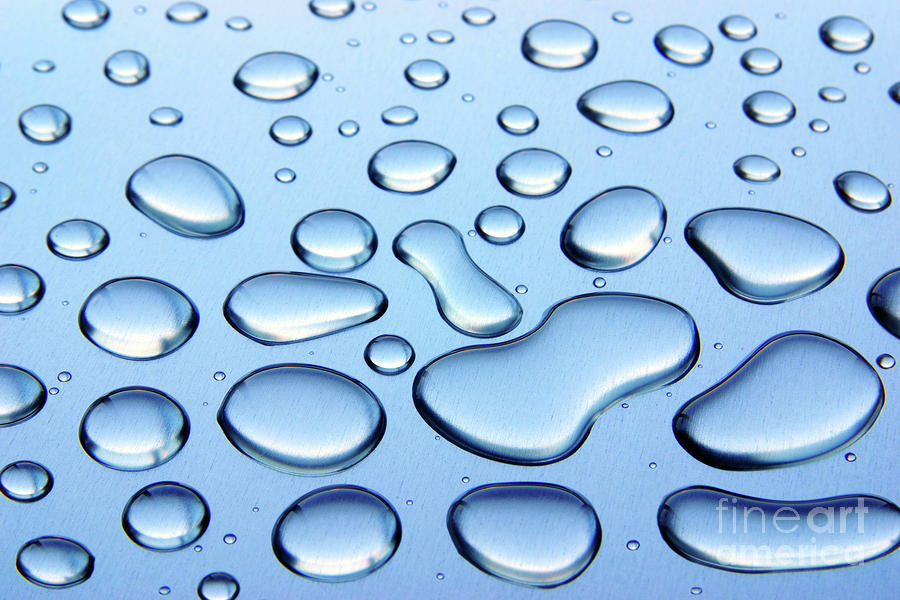 Water Drops Photograph by Carlos Caetano