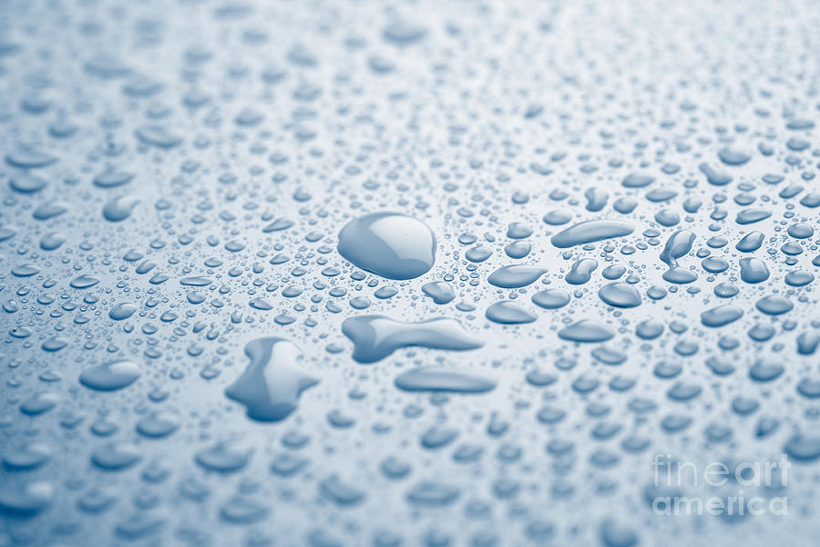 Water drops Photograph by Kati Finell