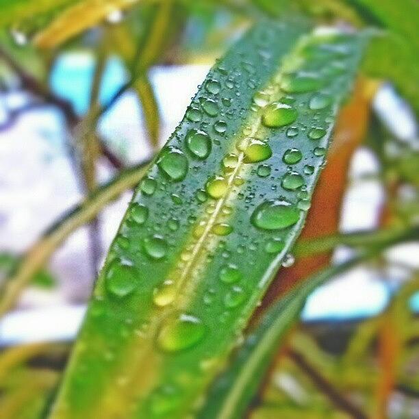 Insta Photograph - Water Drops by Mohamed Nishan