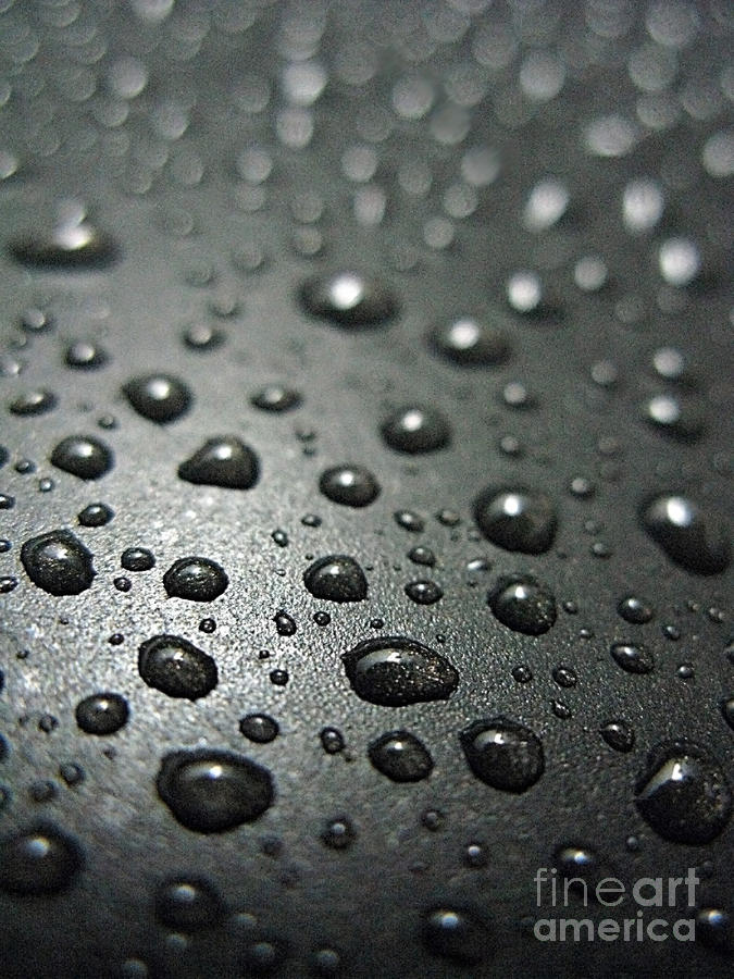 Water Drops On Metal Pan Photograph