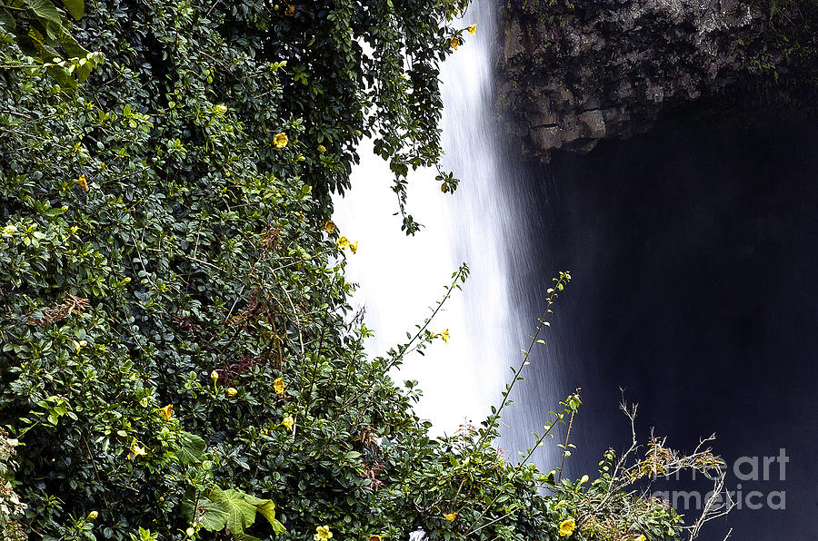 Water Fall 6 Photograph by Karl Voss - Fine Art America