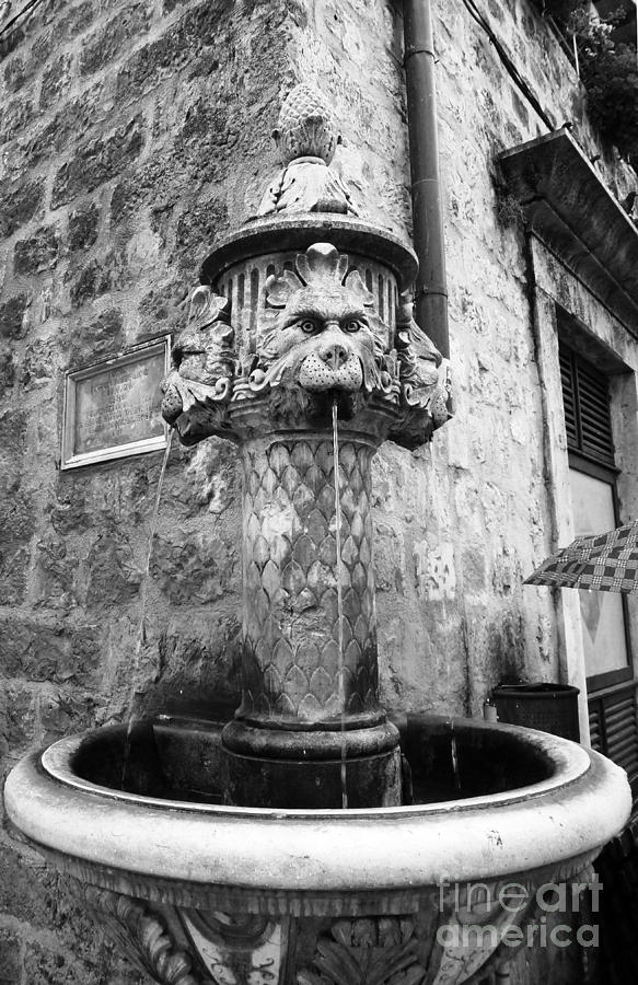 Water Fountain in Dubrovnik Photograph by Amalia Suruceanu
