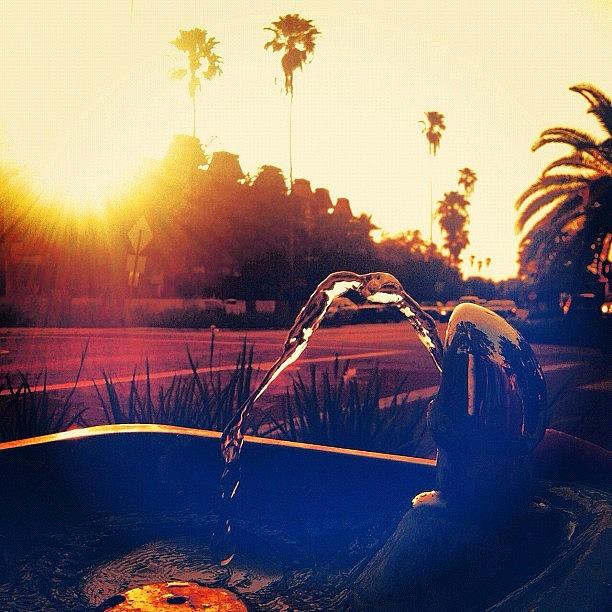 Water Fountains At Sunset Photograph by Dylan Hotfire