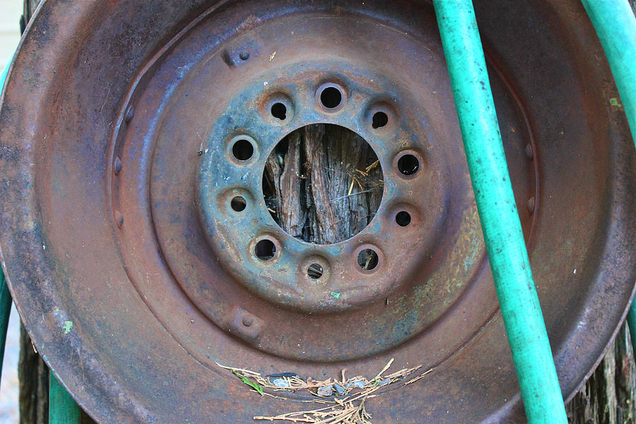 Tire Rim Photograph - Water Hose Rim by Bill Owen