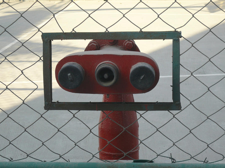 Water hydrants built into a wire mesh fence Photograph by Ashish Agarwal