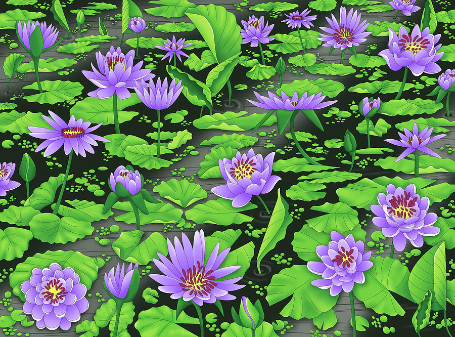 Water Lilies Digital Art by Alison Stein