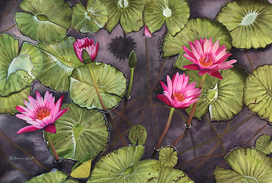 Water Lilies Painting by Deb Brown Maher