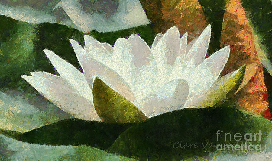 Flowers Still Life Photograph - Water Lily by Clare VanderVeen
