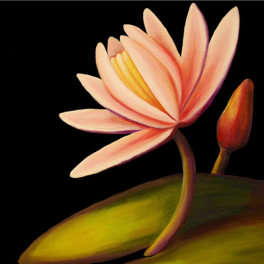 Water Lily I Painting by Victoria Page