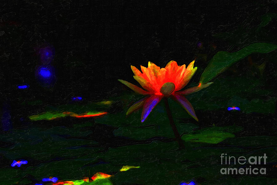 Water Lily Photograph by Wingsdomain Art and Photography