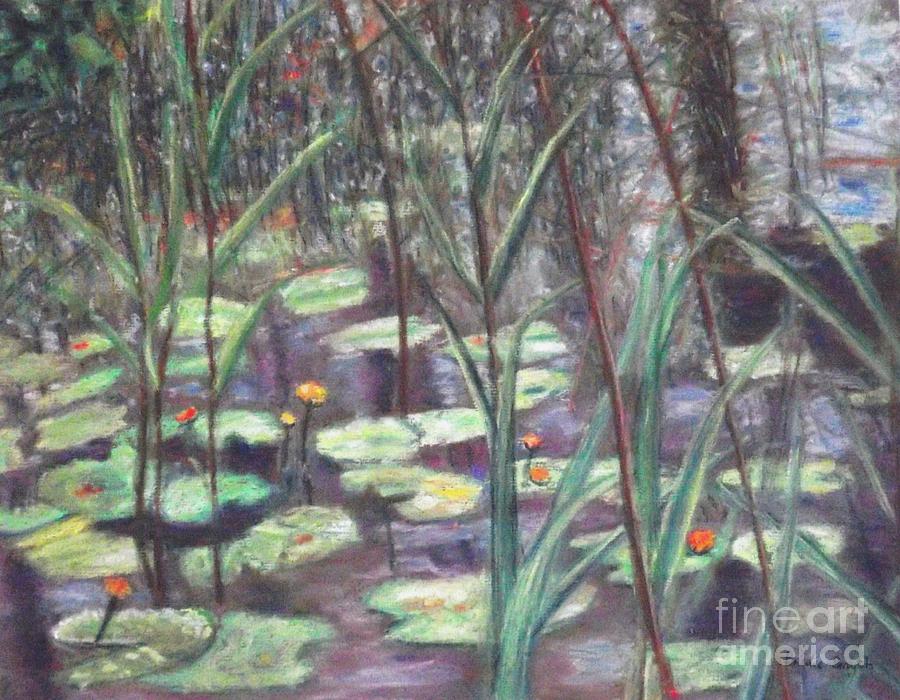 Water Lily Wonder Painting by Bridie Smyth - Fine Art America