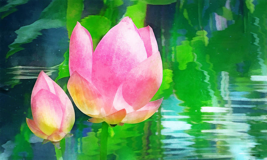 Water Lotus Digital Art by Frances Miller