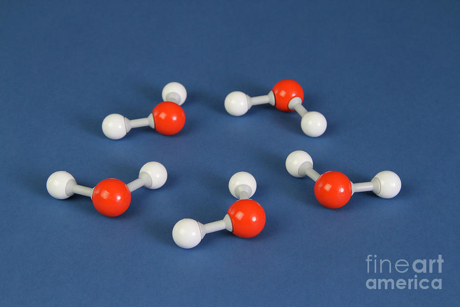 Water Molecules Photograph by Photo Researchers, Inc.