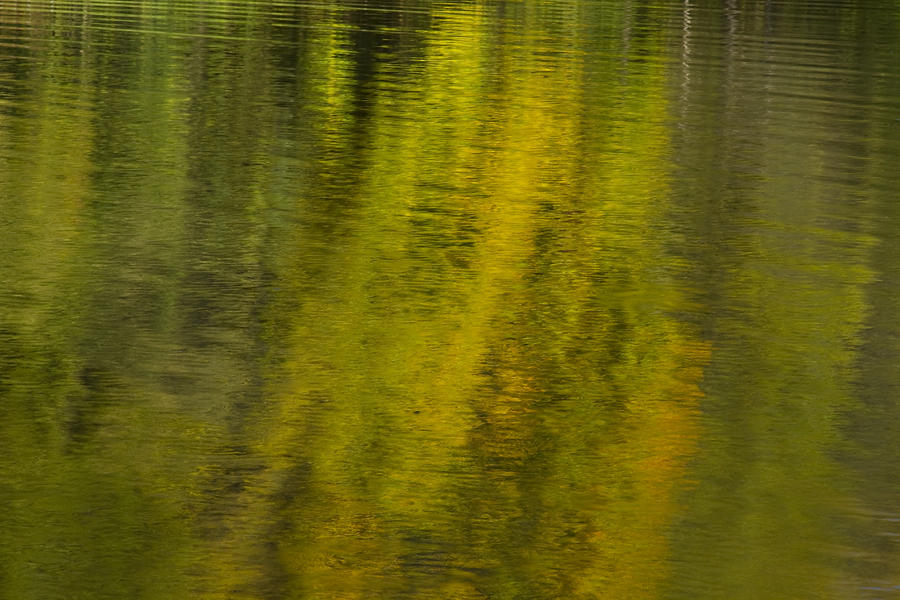 Abstract Photograph - Water Reflection Abstract Autumn 1 A by John Brueske