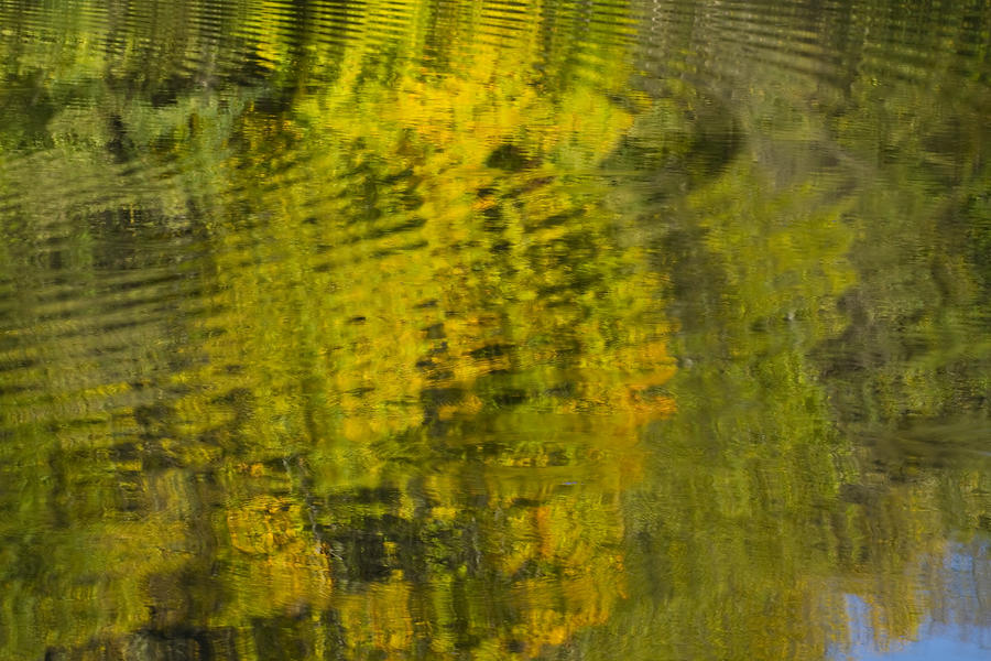 Water Reflection Abstract Autumn 1 D Photograph