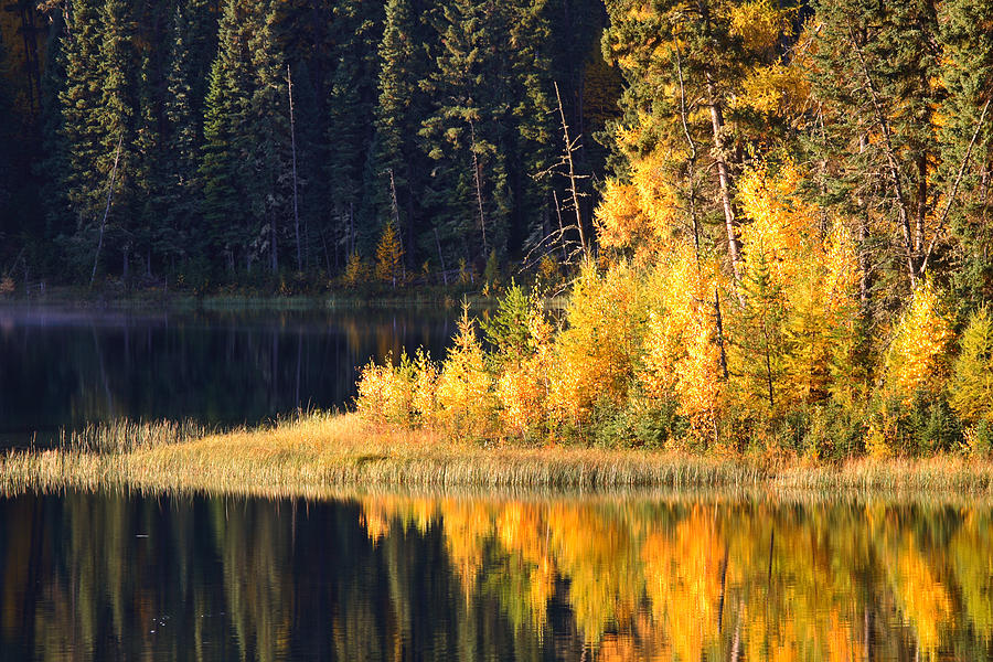 Fall Photograph - Water reflection at Jade Lake in Northern Saskatchewan by Mark Duffy