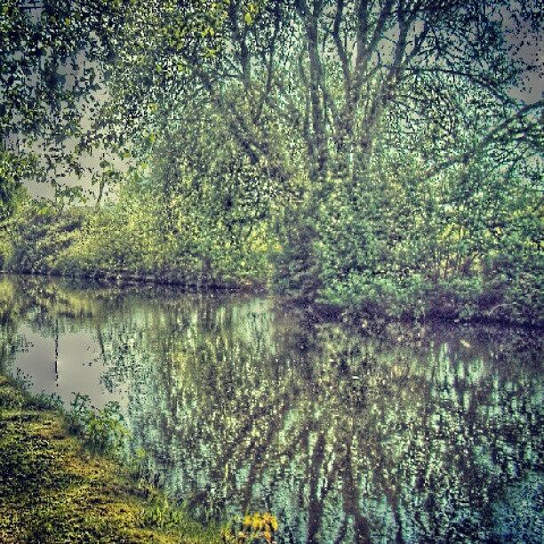 Nature Photograph - Water Reflection In Manchester Canal by Abdelrahman Alawwad