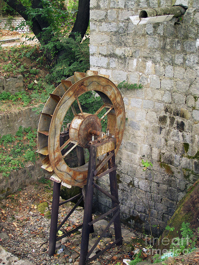 Water Wheel Photograph by Eena Bo