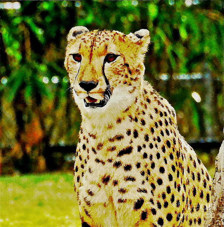 Watercolor Cheetah Photograph by Carol  Bradley