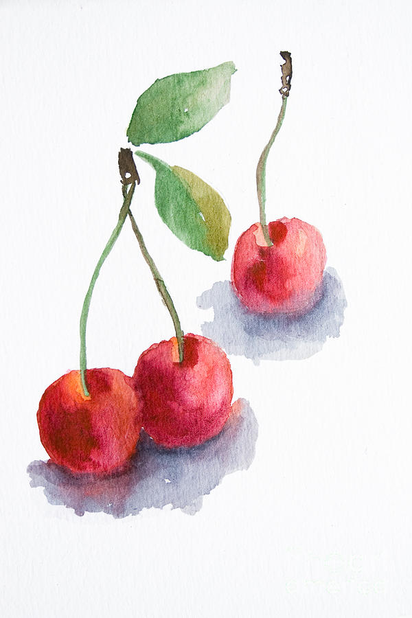 Watercolor Cherry Painting by Regina Jershova