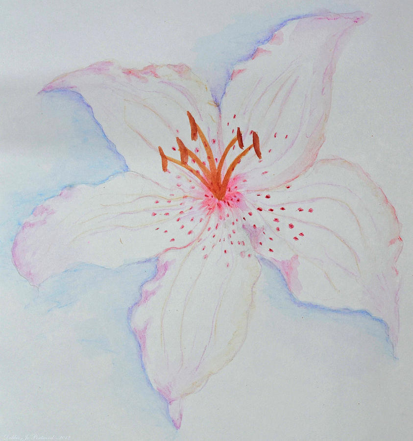 Watercolor Lily Painting by Debbie Portwood