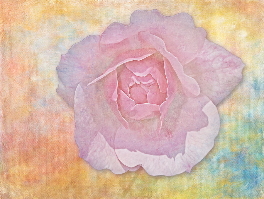 Rose Photograph - Watercolor Rose by Susan Candelario