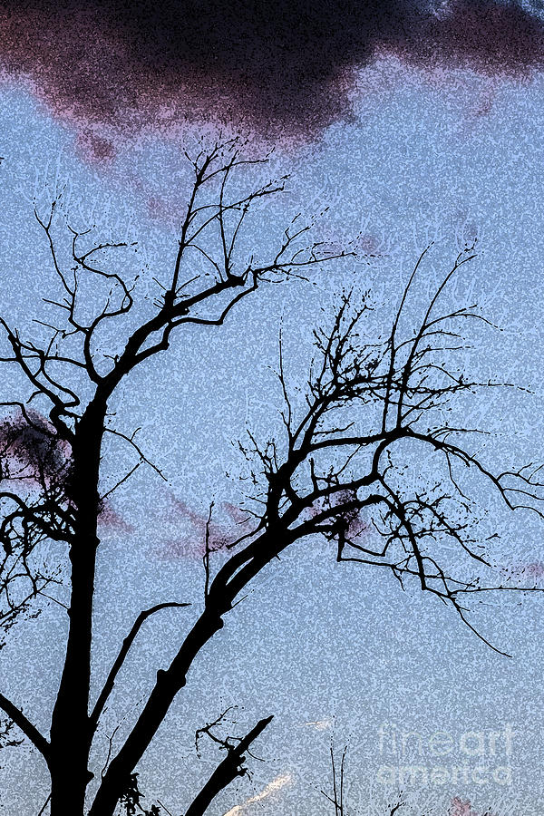 Watercolor Tree Silhouette Photograph