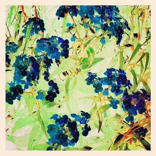 Abstract Photograph - Watercolor Violets #android by Marianne Dow