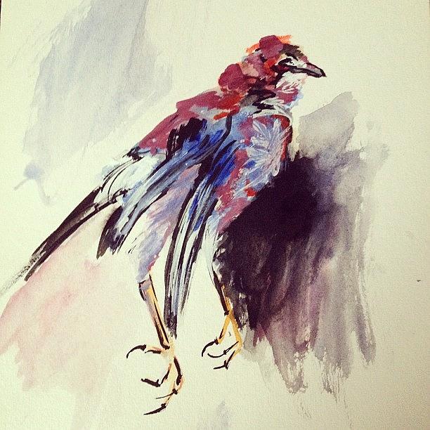Bird Photograph - #watercolour #paint #bird by Polia Giannoulidis