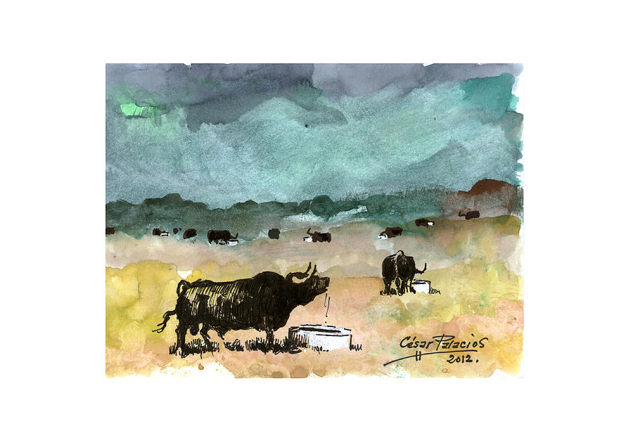 Bull Mixed Media - watercolour TORO VI by Cesar PALACIOS