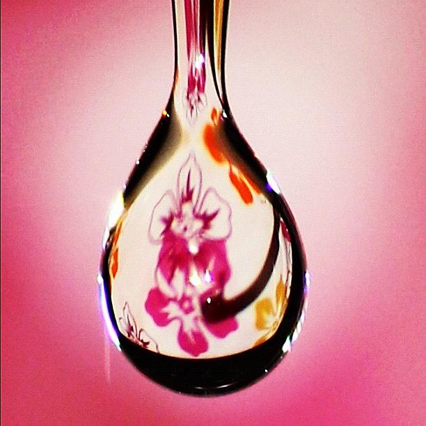 Pink Photograph - #waterdroplet #water #droplet by Lana Houlihan