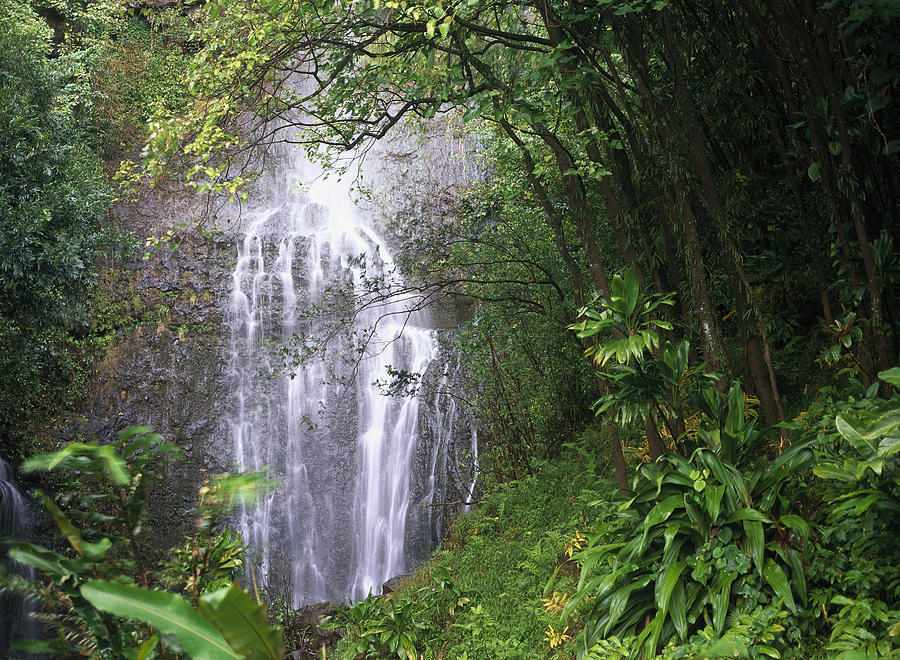 Waterfall Along Hana Coast Maui Hawaii Photograph by Tim Fitzharris