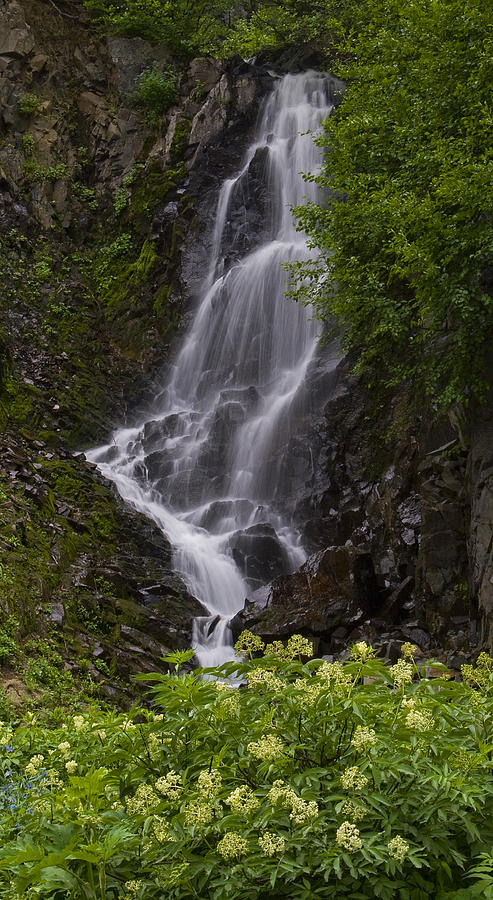 Waterfall At Lake Eleanor Photograph