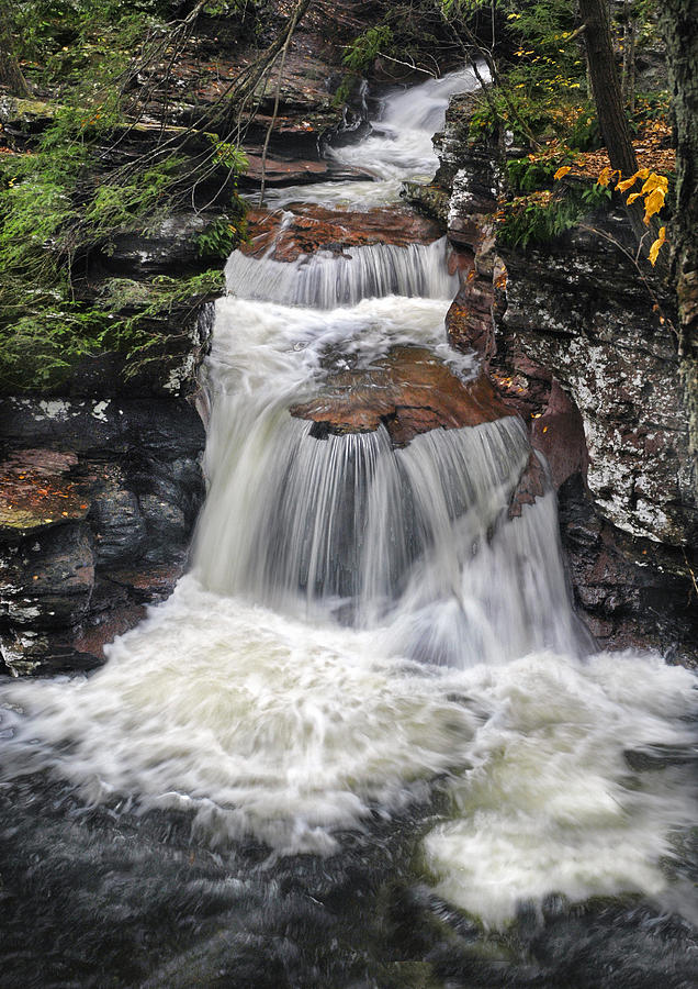Waterfall at Ricketts Glen Photograph by Dave Mills