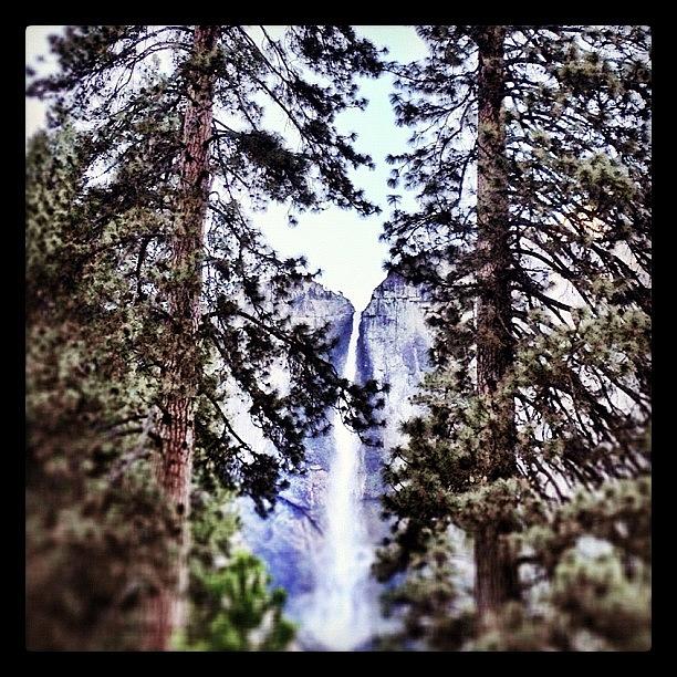 Yosemite National Park Photograph - #waterfall At #yosemite Framed Between by Travis Wright