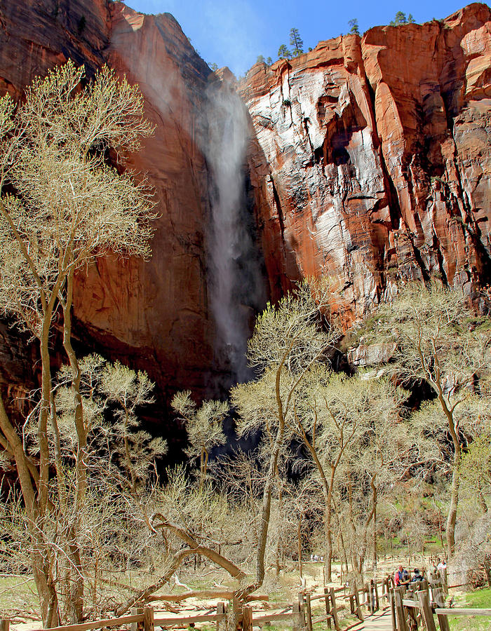 Waterfall at Zion National Park Photograph by Jack Schultz
